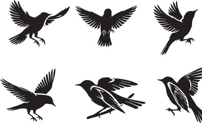 Obraz premium set of silhouettes of birds on white background