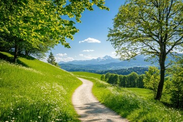 Scenic Mountain Pathway Surrounded by Lush Greenery