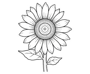 Sunflower flower coloring page