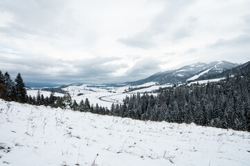 A scenic mountain landscape featuring snow-covered fields, a winding road, and dense evergreen...