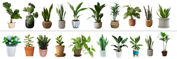 indoor plants set