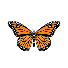 Obraz premium Monarch Butterfly Clipart with Transparent Background and Intricate Details