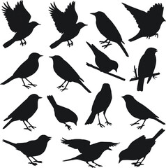 Obraz premium silhoutte brid