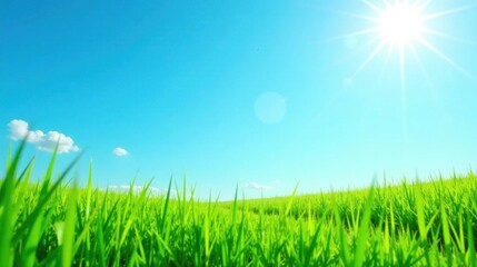 Fototapeta premium Vibrant Green Grass Field Under a Sunny Blue Sky with a Few Puffy Clouds A Serene Summer Landscape