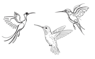 Minimalistic Bird Silhouettes in Flight: Artistic Black and White Design
