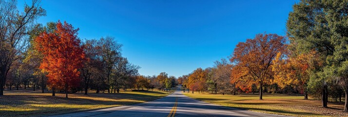 Obraz premium Autumn Roadway Through Colorful Fall Foliage