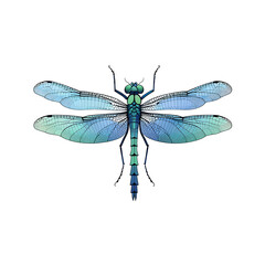 Minimalist Dragonfly Design in Blue and Green Shades