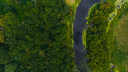 green background forest trees and river aerial drone top view photography of summer nature environment space