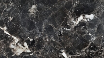 Obraz premium Elegant black marble texture with subtle veins enhancing luxurious appeal for modern interior designs