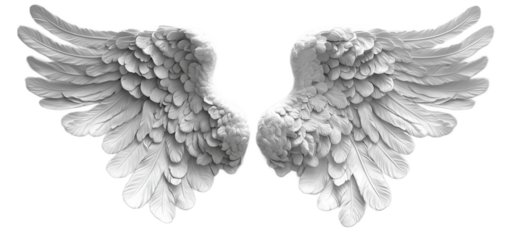 Symmetrical Angel Wings with Detailed Feathers in Monochrome Pencil Sketch Style – Ethereal, Heavenly, and Mystical, Floating with Graceful Curves and Intricate Shading.

