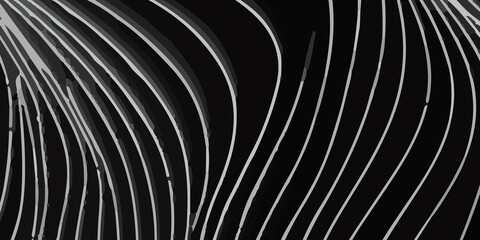 Minimalist Abstract Black Background Featuring Flowing White Wavy Lines in a Dynamic and Elegant Pattern. Modern Digital Art Design with Contrasting White Curvilinear Waves on a Sleek Black Backdrop