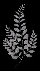 Elegant white line drawing of leaf branch on black background for business purposes