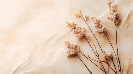 Dried Flowers Arranged on a Beige Textured Background