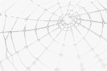 Obraz premium Sparkling Dew on a Spider Web Highlighting Its Intricate Design.