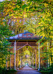 typical gazebo at a park