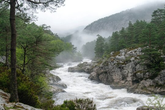 Misty Mountain River Rushes Through Lush Landscape
