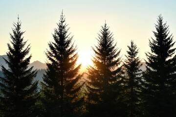 A scenic view of mountain trees silhouetted against a sunny sky, with peaks rising up behind