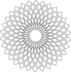 sunflower modern abstract decoration ornament design vector sketch  