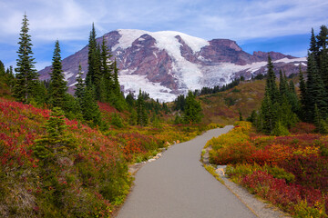 A paved path is surrounded by lush, vibrant fall foliage with Mt. Rainier in the background at Mt. Rainier National Park in Washington state
