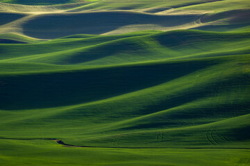 landscape with grass and rolling hills