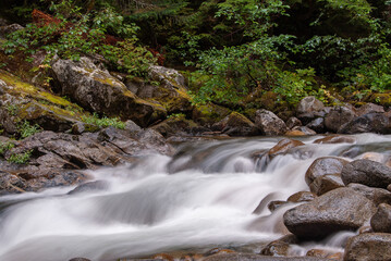 waterfall in the forest