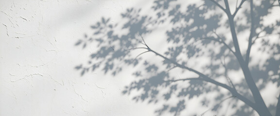 Abstract natural tree leaves shadow on white wall background 
