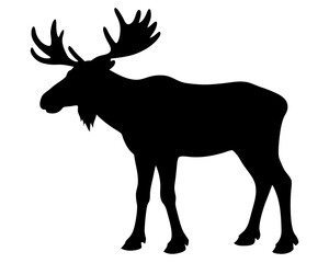 moose black silhouette vector, Simple silhouette Design vector icon with white background. Wild animal silhouette