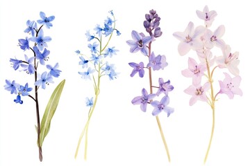 Four colorful flowers arranged on a clean white surface