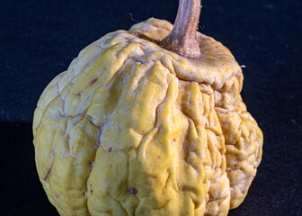 close-up of a decorative pumpkin, withered berry skin, pronounced relief