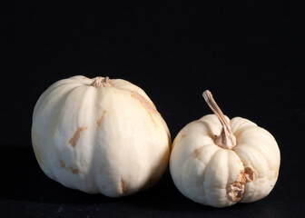still life with white pumpkins, close-up of a decorative pumpkin, pronounced texture