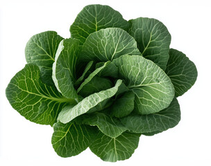 Obraz premium Top View of Fresh Green Collard Leaves Isolated on White Background