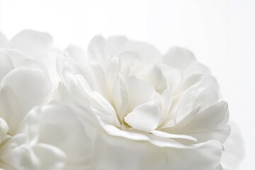 Fototapeta premium A single white flower sits elegantly in a decorative vase, perfect for home decor or editorial use