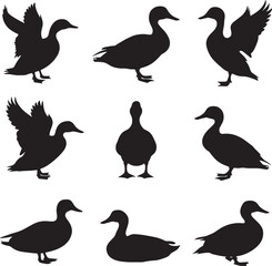 Vector silhouette image