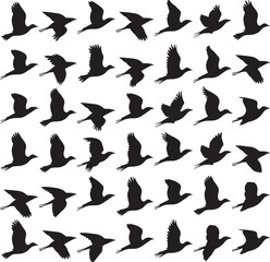 Vector silhouette image