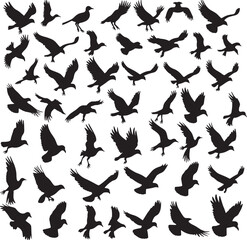 Vector silhouette image