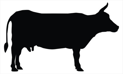 silhouette of a cow