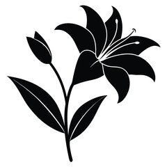 Lily Flower Vector Illustration: Perfect for Floral Designs