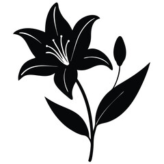 Lily Flower Vector Illustration: Perfect for Floral Designs