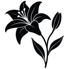 Lily Flower Vector Illustration: Perfect for Floral Designs
