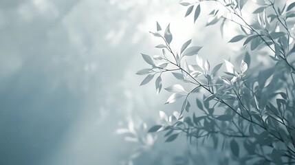 Serene Branches and Leaves in Soft Light