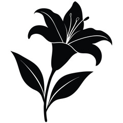 Lily Flower Vector Illustration: Perfect for Floral Designs