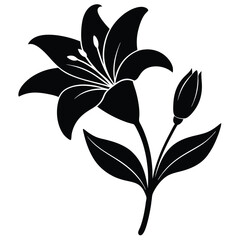Lily Flower Vector Illustration: Perfect for Floral Designs
