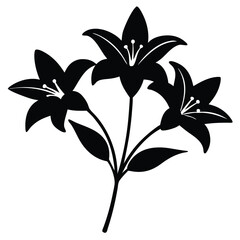 Lily Flower Vector Illustration: Perfect for Floral Designs