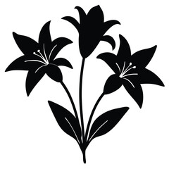 Lily Flower Vector Illustration: Perfect for Floral Designs