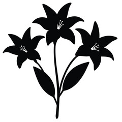 Lily Flower Vector Illustration: Perfect for Floral Designs