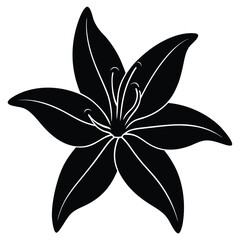 Fototapeta premium Lily Flower Vector Illustration: Perfect for Floral Designs