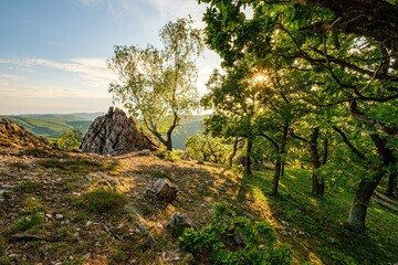 Spring mountain green forest illuminated by the sun. Green forest scenery with rocks. Mountain spring hiking, lush green landscape.