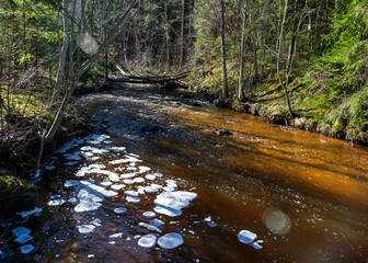 Obraz premium ice formations in a wild river, beautiful frozen ice formations from the interaction of water, flow and frost, Raunis, Latvia