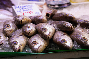  Fresh fish in fish shop ready to sell