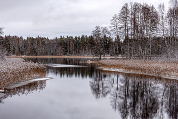 winter landscape with calm lake, white trees, reeds, reflections of the still lake, enchanting peace in nature, Vaidava Lake, Latvia